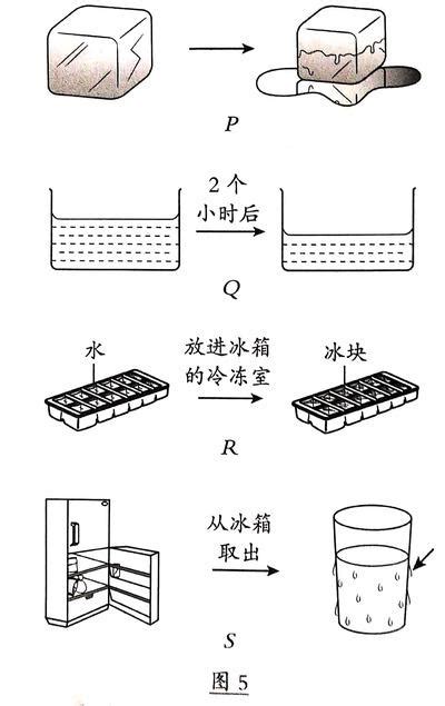 水的形狀|神奇的水形態和水運動